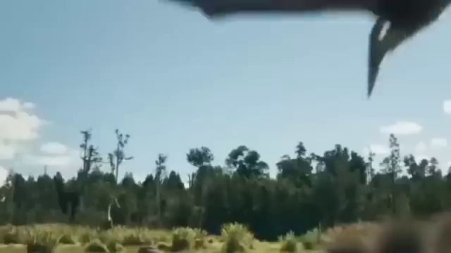 Lalaki nakatagpo daw ng Dinosaur Egg sa Ilog | Kapuso Mo, Jessica Soho: June 2, 2024 | Parody смотреть онлайн