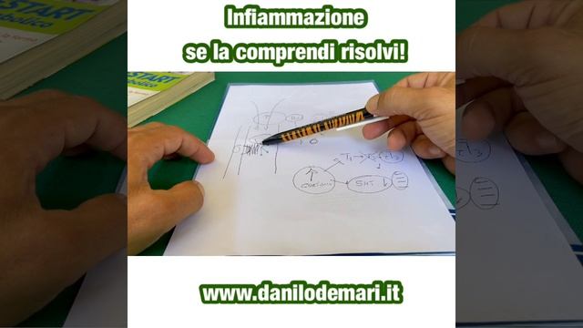 Infiammazione se la comprendi risolvi смотреть онлайн