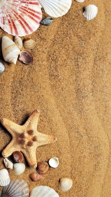 #1 | Учим 10 английских слов каждый день! Английский для начинающих. #Shorts | Easy English Study.