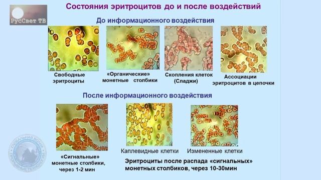 Андрияшева М. А. "Эффект нелокальной связи". смотреть онлайн