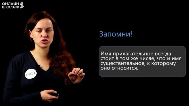 Число имен прилагательных. Видеоурок 34.1. Русский язык 3 класс смотреть онлайн