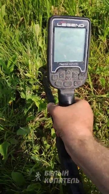 Первый косяк с Nokta Legend прокручивается резинка ручки смотреть онлайн