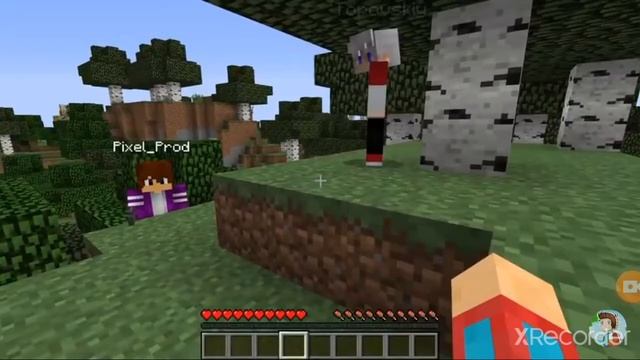 Компот пиксель топовский и житель.