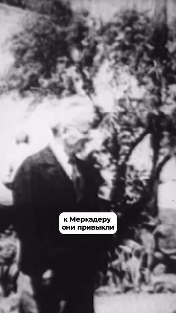 Многие уверены, что именно Сталин отдал роковой приказ #история #ссср #Троцкий #Сталин #shorts смотреть онлайн