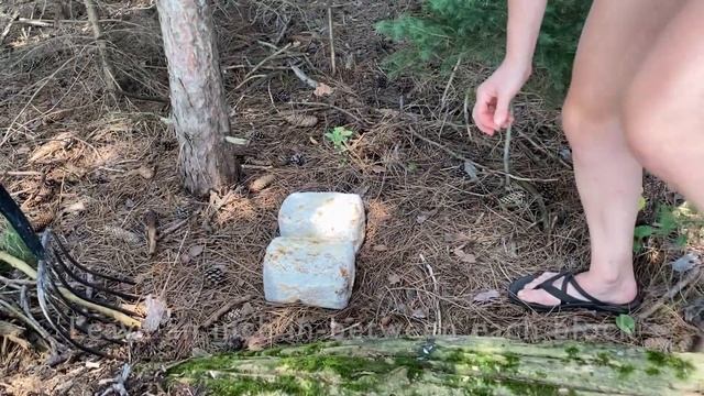 Easy Mushroom Bed Method For Woodland Mushroom Cultivation смотреть онлайн