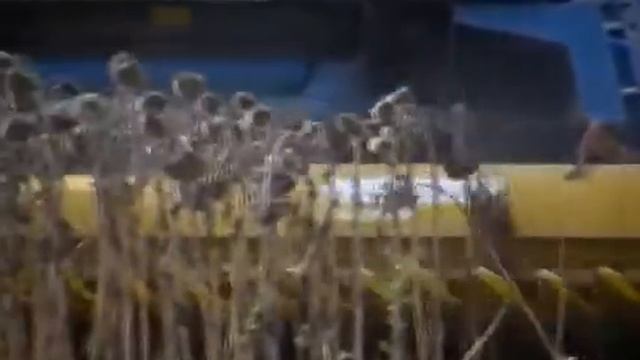Жатка для уборки подсолнечника Sun Worker смотреть онлайн