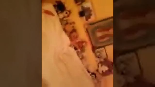 кмната моей сестры и моя комната) смотреть онлайн