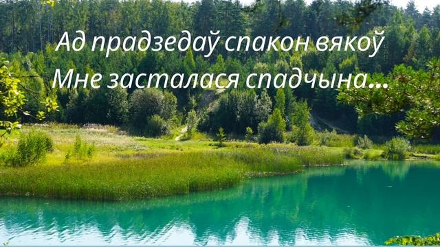 Песняры роднай мовы і Бацькаўшчыны