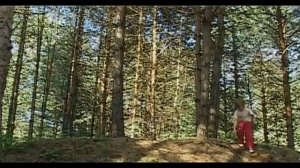 Великие путешественники