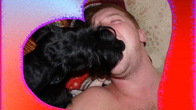 Вечная любовь.wmv