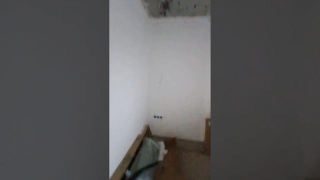 Ремонт на 22.12.2023 смотреть онлайн