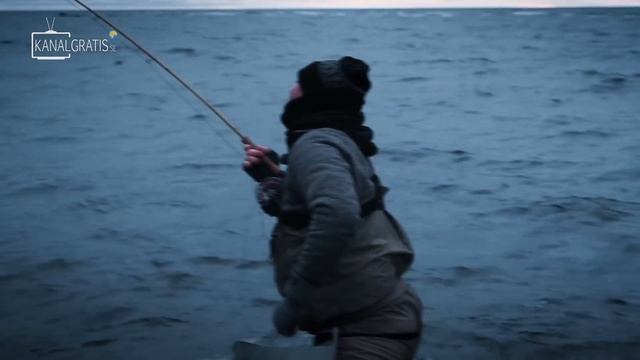 SEA TROUT FISHING: Loser has to SHAVE or TATTOO!!! 😂 смотреть онлайн
