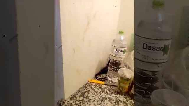 Обзор номера Praha 3* Фукуок Вьетнам