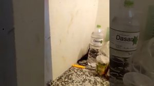 Обзор номера praha 3* Фукуок Вьетнам