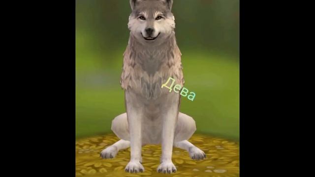 какой ты волк по зз(моё мнение, не обижаться)