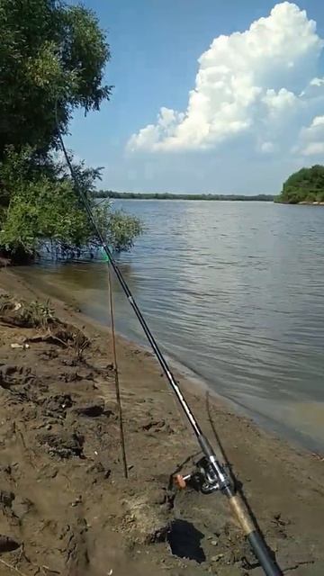 рыбалка на Оке смотреть онлайн