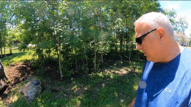 Biggest Stump Dig Yet Bobcat Mini Excavator E42 R2 2k #206 смотреть онлайн