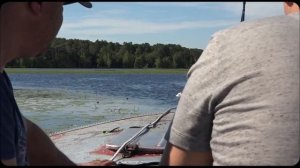 САМОЕ БОЛЬШОЕ БОЛОТО В МИРЕ !!! влог - васюганские болота