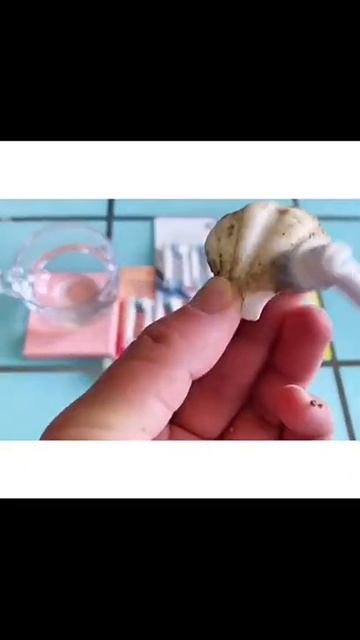 ✅Testine spazzolino elettrico per Oral-B, testine ricambio compatibile con 9000, 1500, 5000, bambin смотреть онлайн