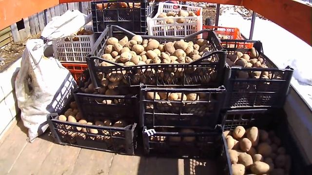 ВЛОГ//ДОСТАЛИ КАРТОШКУ//ДЫРЯВОЕ КОЛЕСО//деревенские будни смотреть онлайн