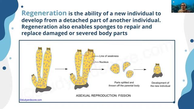 Marine Diversity Education - Session - 05 смотреть онлайн