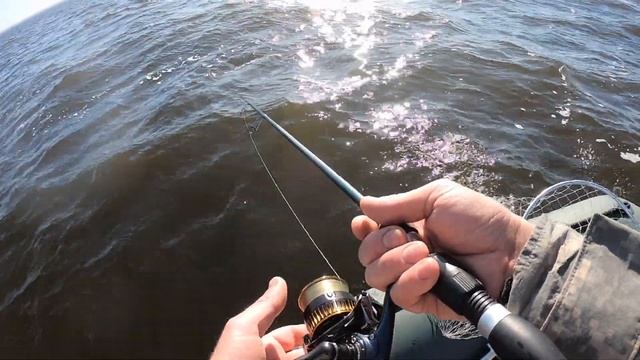 Спонтанная рыбалка. Часть 2. смотреть онлайн