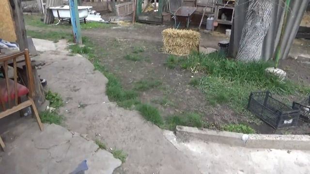 блог, поздровляшки , завтрак, пятница, влог № 313 смотреть онлайн