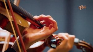 Л. В. Бетховен - Симфония № 6 фа мажор «Пасторальная»