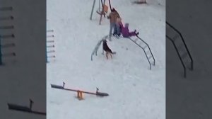 Собаки напали на детей