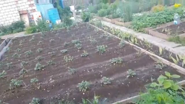 18 июня 2022год. Жарим с внучкой шашлыки )))Отдых всей семьей))) смотреть онлайн