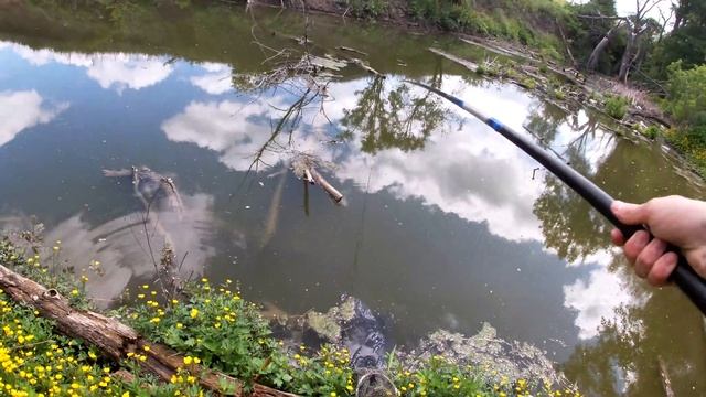 Рибалка на карася з дрегом !!! смотреть онлайн