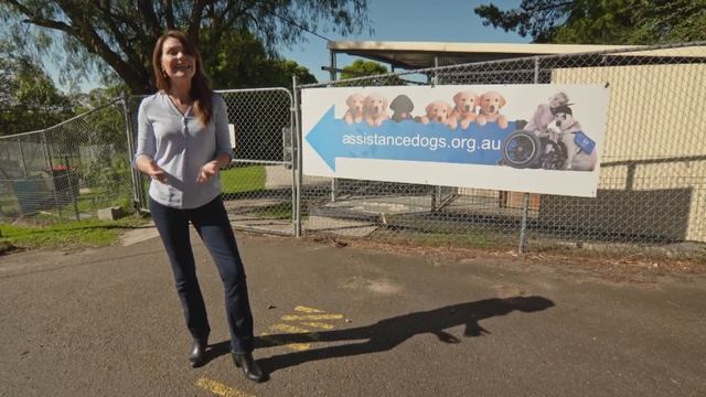 Pet friendly travel in Wodonga, dog training tips, dog health advice | S5 Full Ep3 | Pooches at Pla смотреть онлайн