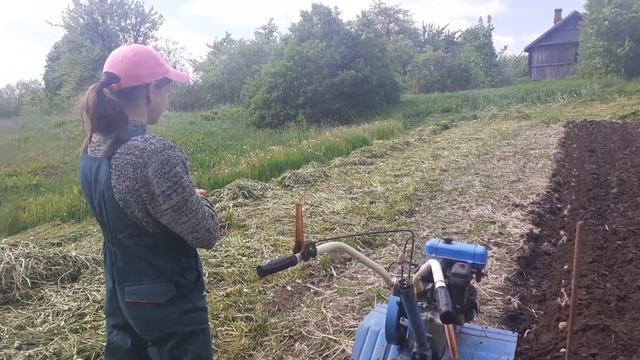 Света. смотреть онлайн