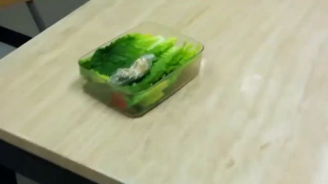 Школа Портнова, приезд  IT в Америке