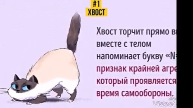 Язык котов .:-) :-) :-) :-) :-) :-) :-) :-) :-) :-) смотреть онлайн