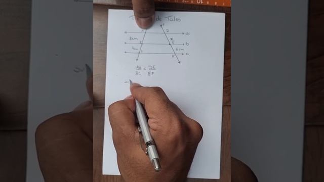 Exemplo - Teorema de Tales смотреть онлайн