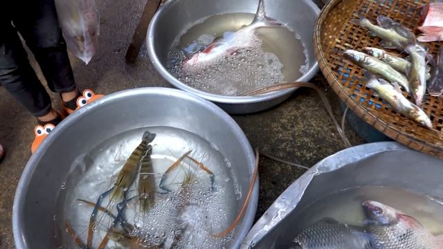 Cambodian Lively Market Foods @ Takhmao Jas - Fresh River Fishes, Mango, Pineapple, Raw Meat, & Mor смотреть онлайн