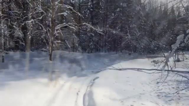 Красивая природа Урала / Лыжная прогулка в таежном лесу / Февраль 2021 смотреть онлайн