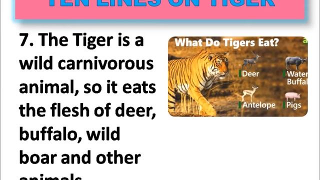 10 Lines on Tiger in English || Ten easy lines about Tiger in English || Few easy lines about Tiger смотреть онлайн