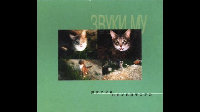 Zvuki Mu - PNM (ПНМ)