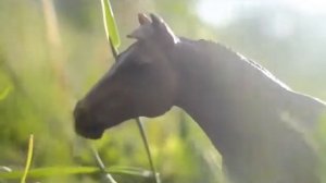 Сериал "Riverdale" 1 серия