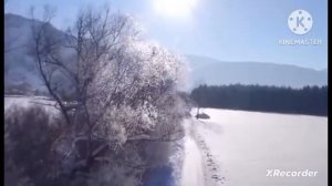 мы родились в сибири//нашли и вообще не теряли//обзор канала