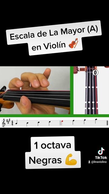 Escala de (A)La Mayor en violín 🎻- Reto de negras en 1 octava 💪 #violin #aprende #tutorial #escala смотреть онлайн