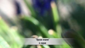 ЯРКОЕ ПЛАМЯ 4 серия РУССКАЯ ОЗВУЧКА турецкий сериал