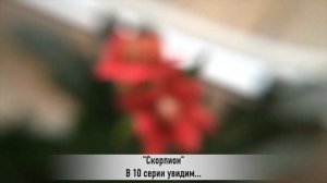 СКОРПИОН 10 серия РУССКАЯ ОЗВУЧКА турецкий сериал