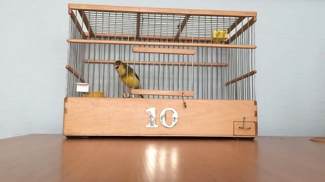 № 482 смотреть онлайн