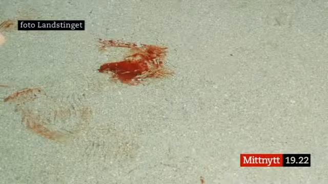 Швеция 126   1 ноября 2010 новости Швеции   шведский язык