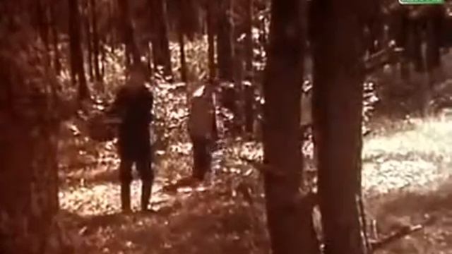 Дебют   The Debut 1978 фильм смотреть онлайн