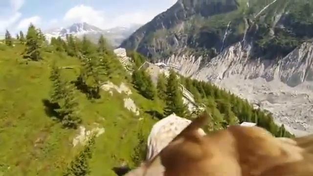 Полет глазами орла Природа смотреть онлайн