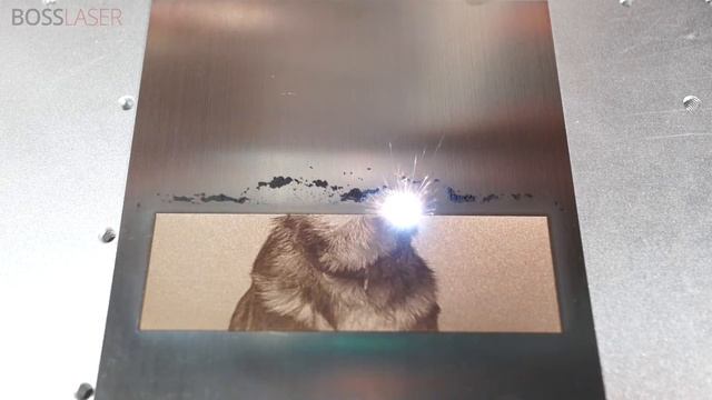 50 Watt Fiber Laser Engraving Picture of German Shepherd on Stainless смотреть онлайн